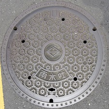 ���l�s�J���f�}���z�[��