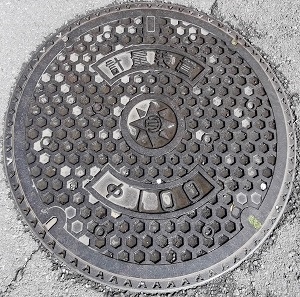 ���{��s�v�ʑ��u