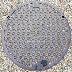 �ޗǌ������a