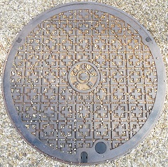 �ޗǌ������a