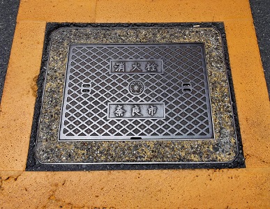 �ޗǎs���ΐ�