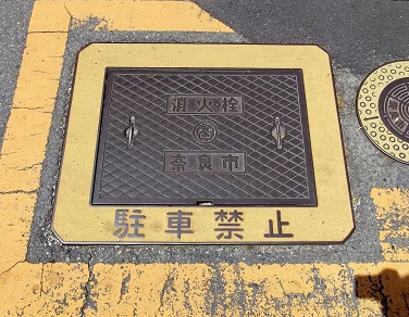 �ޗǎs���ΐ�