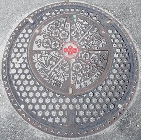 ���{�}���z�[��