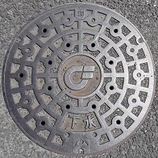 �������f�����}���z�[��