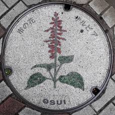 ���c���s�}���z�[��