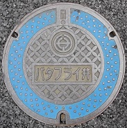 ���R�s�o�^�t���C��