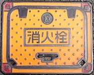 �T���s���ΐ�