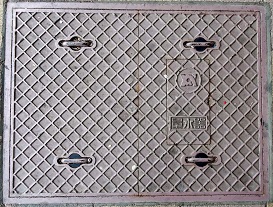 �T���s�ʐ���