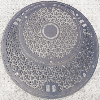 �I�̐�s�}���z�[��