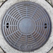 �I�̐�s�}���z�[��