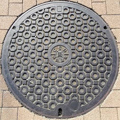 ���Ɍ������a