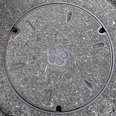 ���c���s�}���z�[��