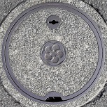 ���c���s�}���z�[��