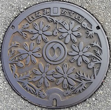 ������}���z�[��