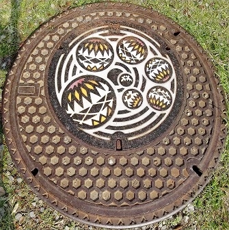 �a�̎R�s�}���z�[��