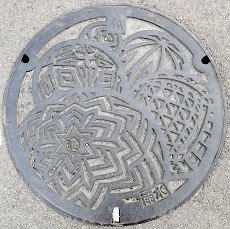 �a�̎R�s�}���z�[��