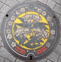 �쐼�s�}���z�[��