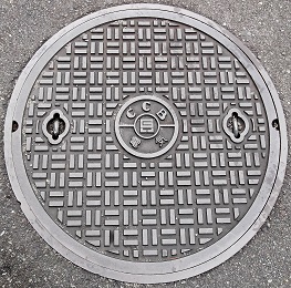 ���Ɍ������a