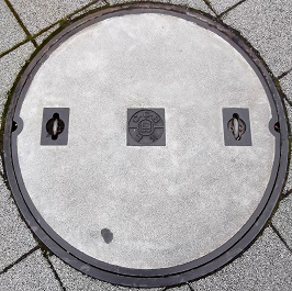 ���Ɍ������a