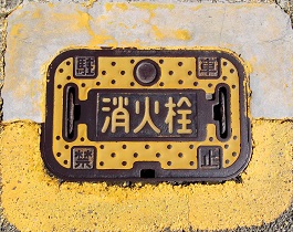 �X���s���ΐ�