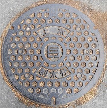 ���Ɍ�������