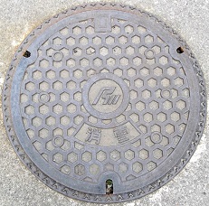 �ΐ쌧����}���z�[��