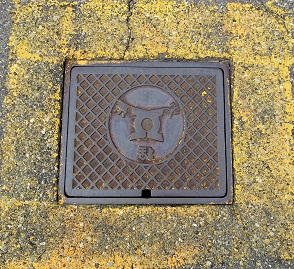 ���C�s���ΐ�