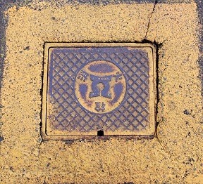 ���C�s���ΐ�