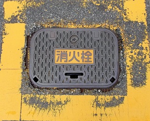 ���C�s���ΐ�