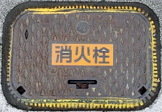 ���C�s���ΐ�