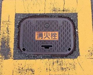 ���C�s���ΐ�