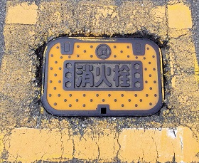 ���C�s���ΐ�