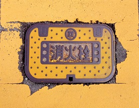 ���C�s���ΐ�