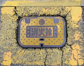 ���C�s���ΐ�