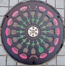 �x�R�s�}���z�[��