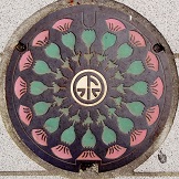 �x�R�s�}���z�[��