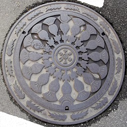 �x�R�s�}���z�[��