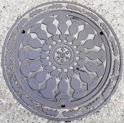 �x�R�s�}���z�[��