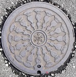 �x�R�s�}���z�[��