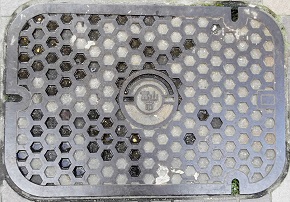 �x�R�s�}���z�[��