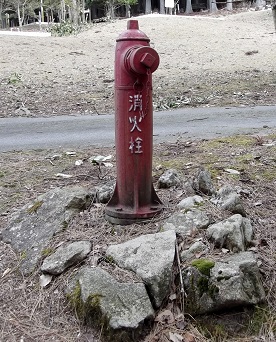 �_�蒬���̏��ΐ�