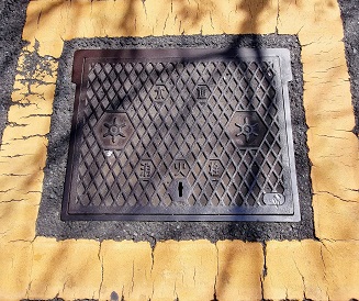 �����������