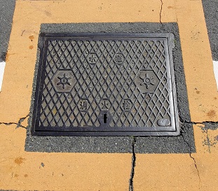 �����������