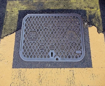 �����������