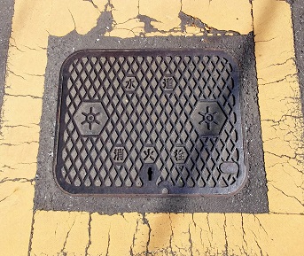 �����������