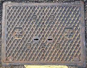 ������ʐ���