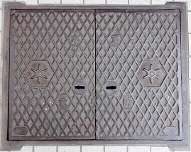 ������ʐ���