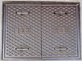 ������ʐ���