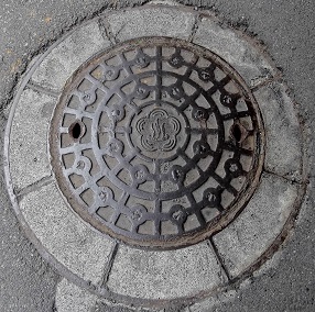 �M�C�s�}���z�[��