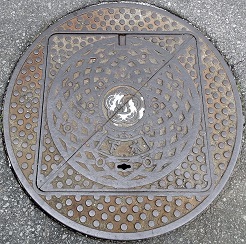 �M�C�s�}���z�[��